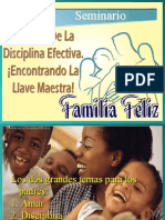 Disciplina Efectiva