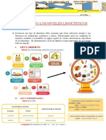 Identifico Los Niveles Lingüísticos: Miretoes