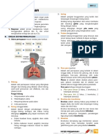 2. Sistem Pernapasan Materi