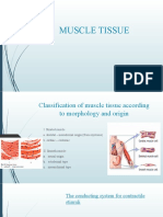 Classification and Structure of Muscle Tissue
