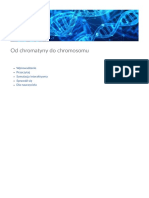 Od Chromatyny Do Chromosomu