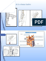 Flexión Lumbar