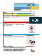 Entrenamiento Reduccion y Mentenimiento de Peso Blopaw