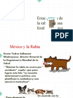 Rabia y Fauna Feral en Mexico