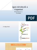 7.virágos Növények A Vízparton-Összefoglalás