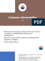 Lesiones Elementales