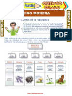 Reino Monera Para Quinto Grado de Primaria