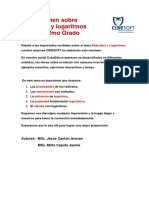 12 13 Resumen Sobre Radicales y Log PDF