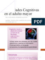 Habilidades Cognitivas Erne L Adulto Mayor