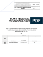 Plan y Programa de Prevencion de Riesgos Conservacion Puentes Nicodahue y Bautmann, Rev. 01