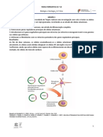Células iPS: Reprogramação de fibroblastos