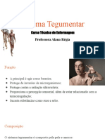Anatomia Humana Tegumentar_Muscular e Esquelético
