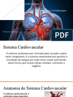 Anatomia do Sistema Circulatório