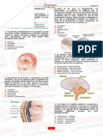 Distribución de Preguntas:: Biomédicas Todas de La Práctica