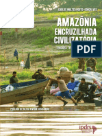 Amazonia Encruzilhada Civilizatoria