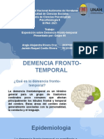 Demencia fronto-temporal: causas, síntomas y tratamientos