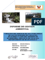 Informe de Gestion Ambiental Final