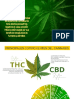 Info CBD 2020