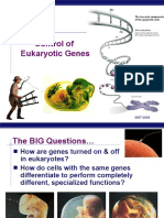 Control of Eukaryotic Genes: AP Biology