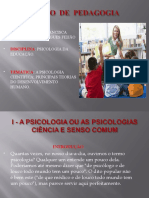 37280slides_aula_desenvolvimentook