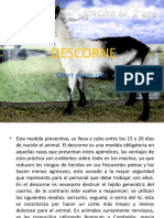 Descorne