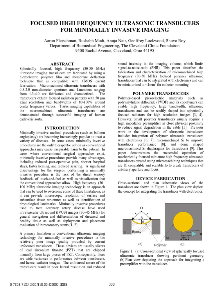 Focused High Frequency Ultrasonic Transducers For Minimally Invasive
