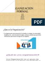 Organización Formal Hoy