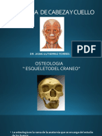 ANATOMIA DE CABEZA Y CUELLO OSTEOLOGIA