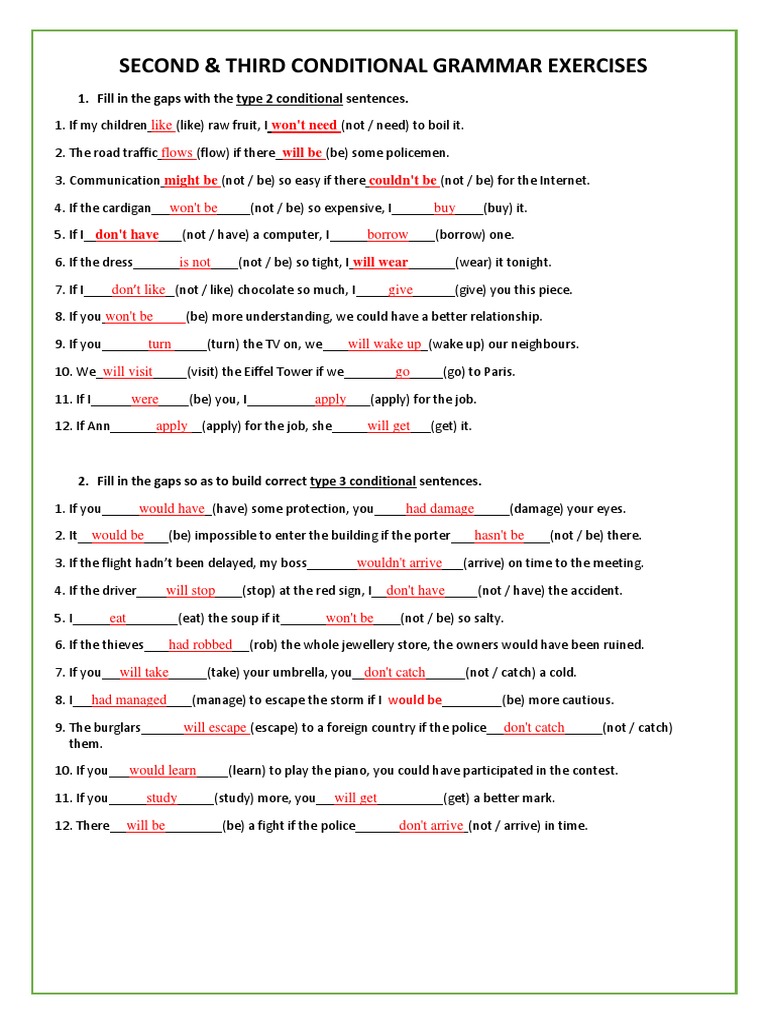 Conditionals Type 2 and 3 Exercises. | PDF