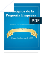 Principios de La Pequeña Empresa