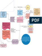 Organizador Grafico Recursos para El Aprendizaje