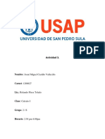 Actividad 1 Calculo 1 Usap