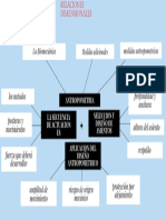 Mapa Mental. Relaciones Dimensionales