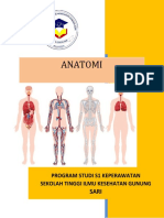 Sampul Anatomi