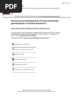 Structure and Development of Male and Female Gametophyte in Ocimum Basilicum L