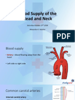 Blood Supply (Head & Neck)