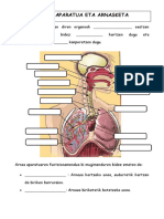 Arnas Aparatua Eta Arnasketa