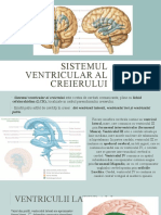 Sistemul Ventricular Al Creierului