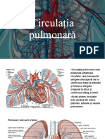 Circulatia Pulmonara