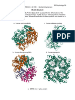 QUITALIG Biochemistry Lecture Module 5 Activity