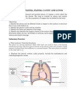 Thorax Ii: Pleura, Pleura Cavity and Lungs: Laboratory Exercises