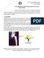 Pdfcoffee.com 5 Cimenturi Osoase 1pdf PDF Free