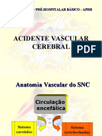 Acidente Vascular Cerebral: Atendimento Pré-Hospitalar Básico - Aphb