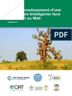 Plan D'investissement D'une Agriculture Intelligente Face Au Climat Au Mali