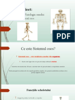 Sistemul Osos