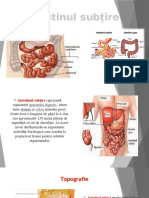 Intestinul Subtire