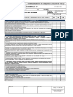 Formato Auditoria Interna 2