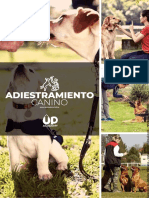 Adiestramiento+Canino+ +Up+Academy