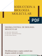 RESUMEN TEMA 1