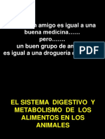 Agroindustria 1 - El Sistema Digestivo de Los Animales - Febrero 2018 A